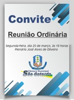 REUNIÃO ORDINÁRIA